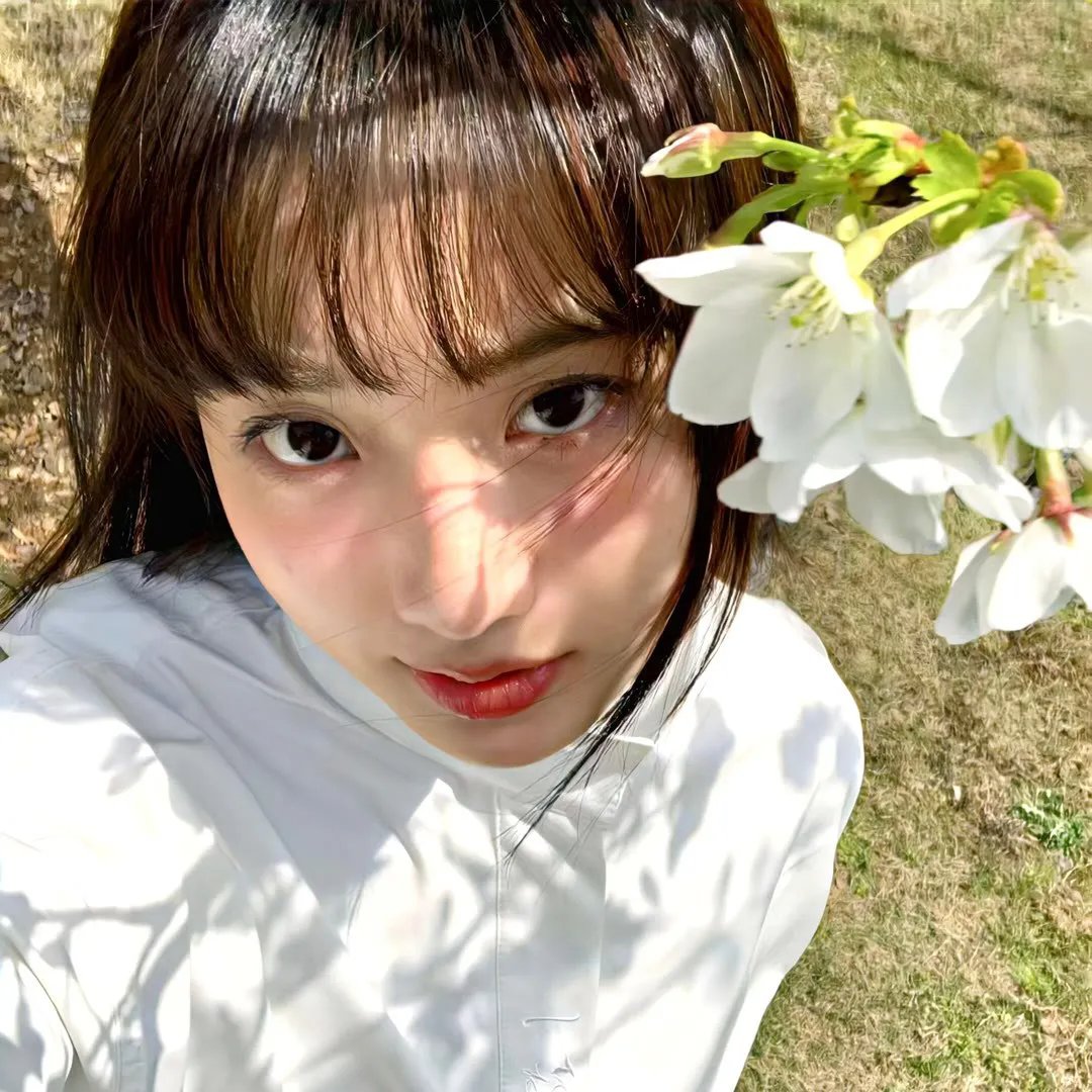 百合的故事